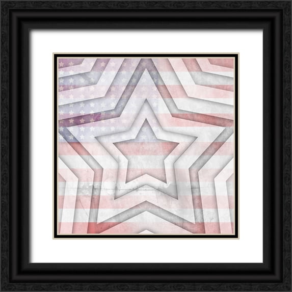 LightBoxJournal 20x20 Black Ornate Wood Framed with Double Matting Museum Art Print Titled - American Born Free Sign Collection V11