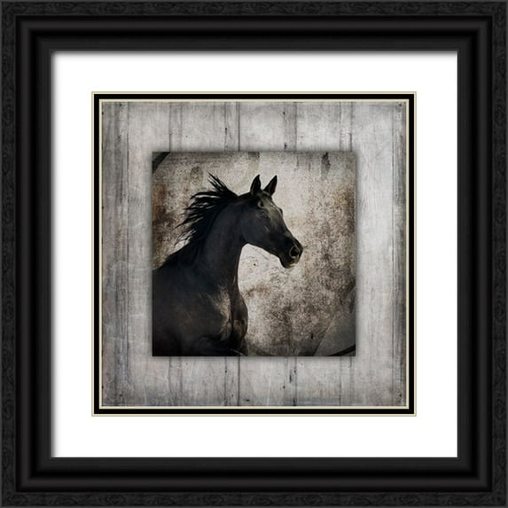 LightBoxJournal 20x20 Black Ornate Wood Framed with Double Matting Museum Art Print Titled - GypsyHorse Collection V1 5