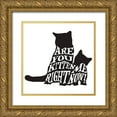 thumbnail image 1 of LightBoxJournal 20x20 Gold Ornate Wood Framed with Double Matting Museum Art Print Titled - RescueCat 011, 1 of 4
