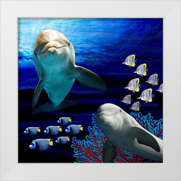 LightBoxJournal 20x20 White Modern Wood Framed Museum Art Print Titled - Sea Creatures_Dolphines 2