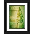 thumbnail image 1 of LightBoxJournal 23x32 Black Ornate Wood Framed with Double Matting Museum Art Print Titled - Big Piney, 1 of 4