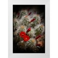 thumbnail image 1 of LightBoxJournal 23x32 White Modern Wood Framed Museum Art Print Titled - Desert Flower 6, 1 of 4