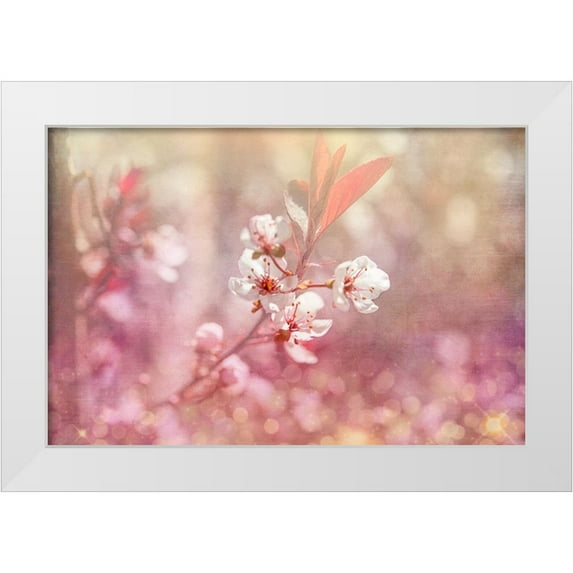 LightBoxJournal 24x17 White Modern Wood Framed Museum Art Print Titled - Gypsy Cherry 04