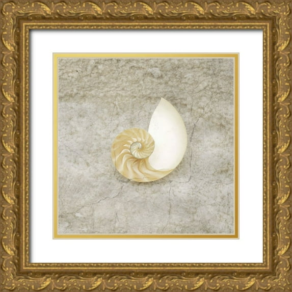 LightBoxJournal 26x26 Gold Ornate Wood Framed with Double Matting Museum Art Print Titled - Gypsy Sea Life V1