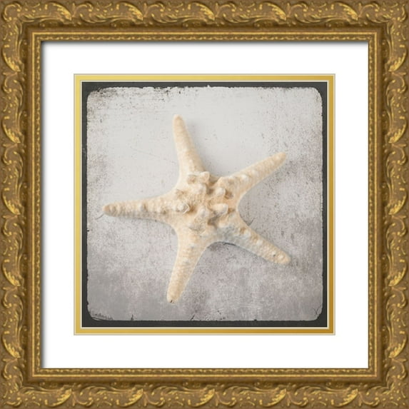 LightBoxJournal 26x26 Gold Ornate Wood Framed with Double Matting Museum Art Print Titled - Vintage Natuical Set