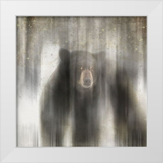 LightBoxJournal 26x26 White Modern Wood Framed Museum Art Print Titled - Antique Wildlife bear