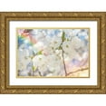 thumbnail image 1 of LightBoxJournal 32x23 Gold Ornate Wood Framed with Double Matting Museum Art Print Titled - White Spring Blossoms 01, 1 of 4