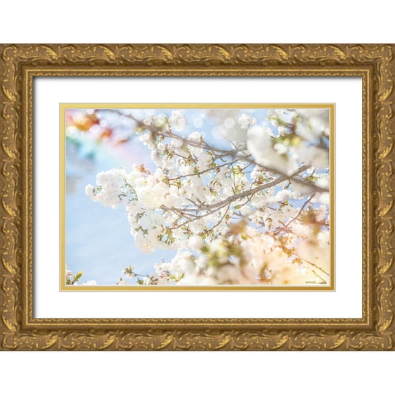 LightBoxJournal 32x23 Gold Ornate Wood Framed with Double Matting Museum Art Print Titled - White Spring Blossoms 04