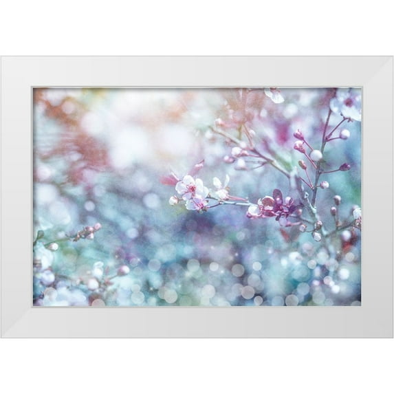 LightBoxJournal 32x23 White Modern Wood Framed Museum Art Print Titled - Cherry Blu 02