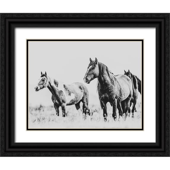 LightBoxJournal 32x26 Black Ornate Wood Framed with Double Matting Museum Art Print Titled - Wild Horses of the Great Basin 04