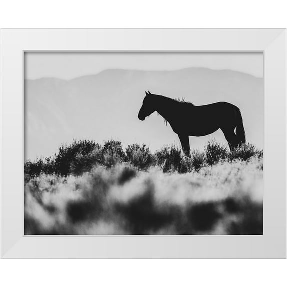LightBoxJournal 32x26 White Modern Wood Framed Museum Art Print Titled - Wild Horses of the Great Basin 02