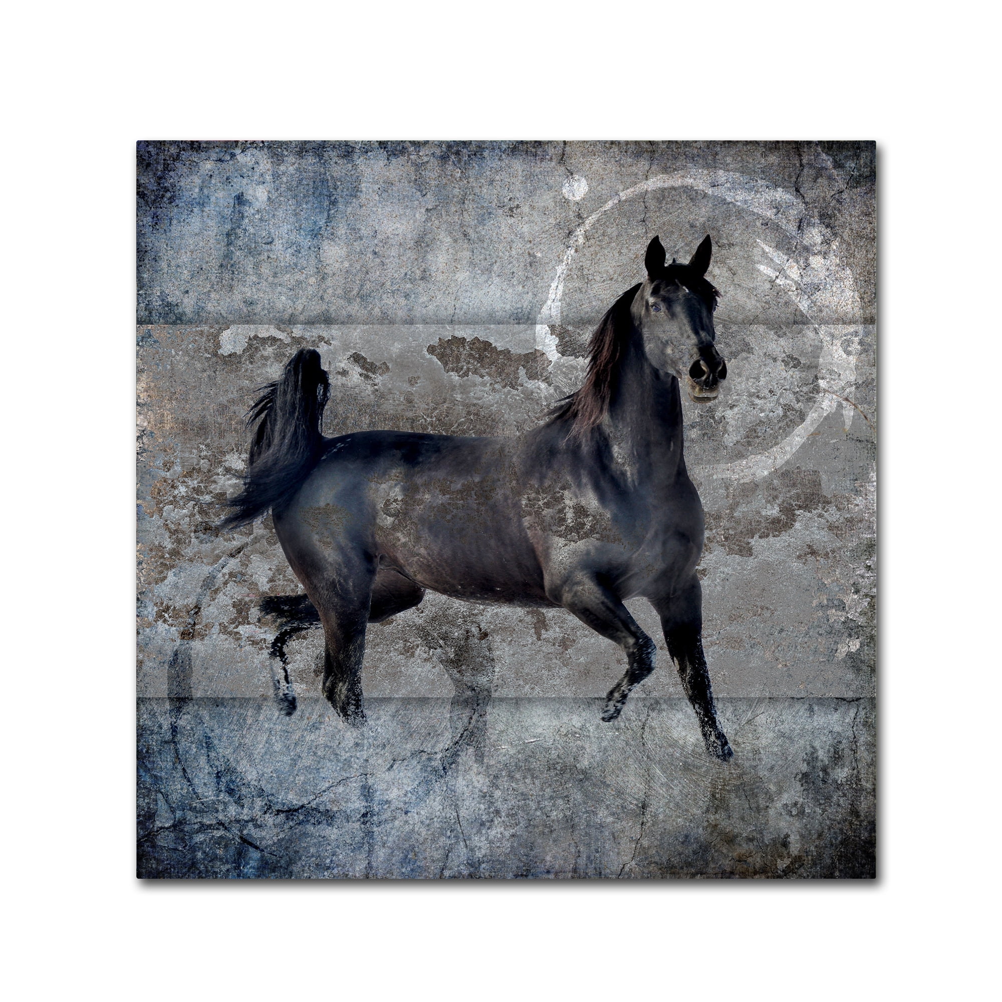 LightBoxJournal 'Black Mare 2' Canvas Art