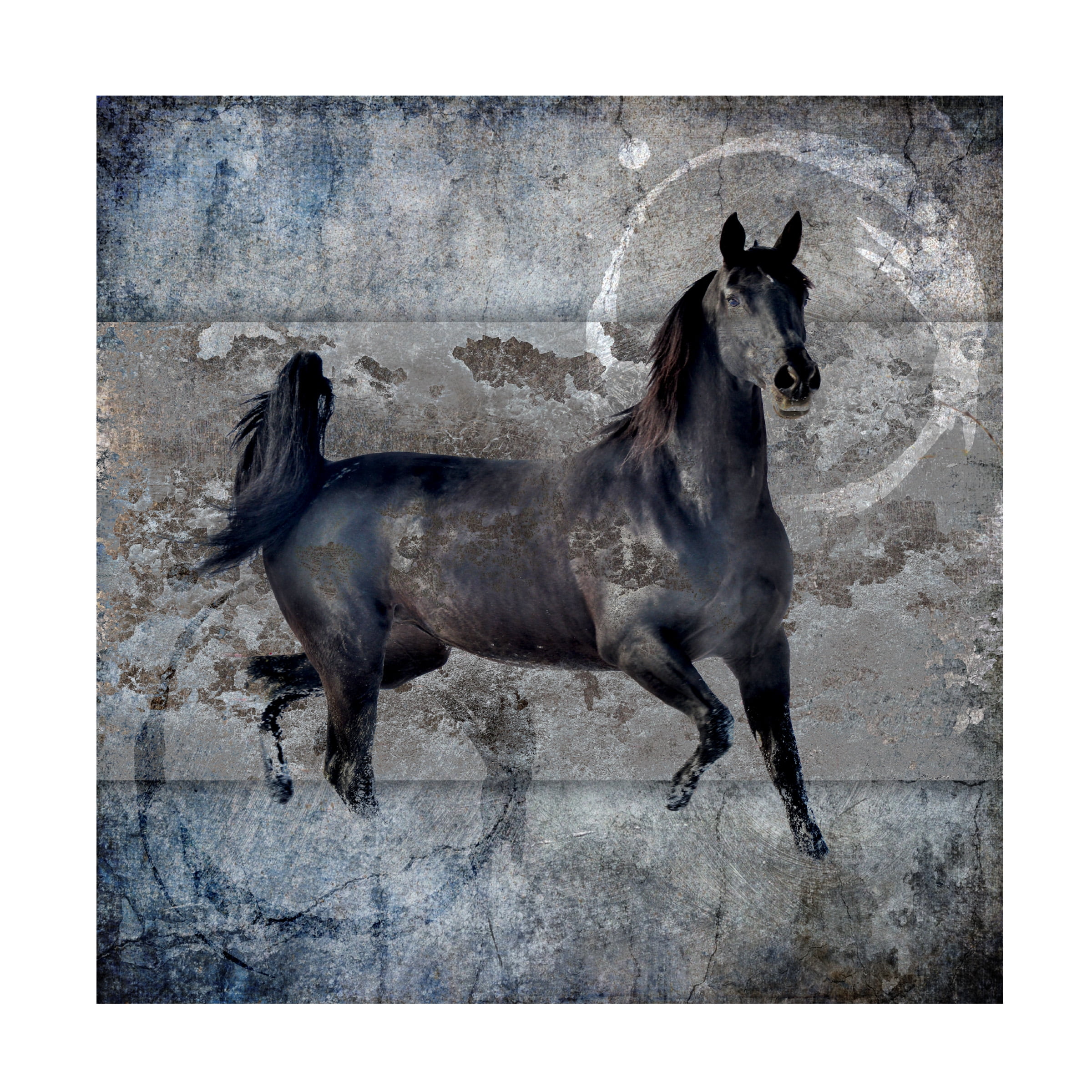 LightBoxJournal 'Black Mare 2' Canvas Art