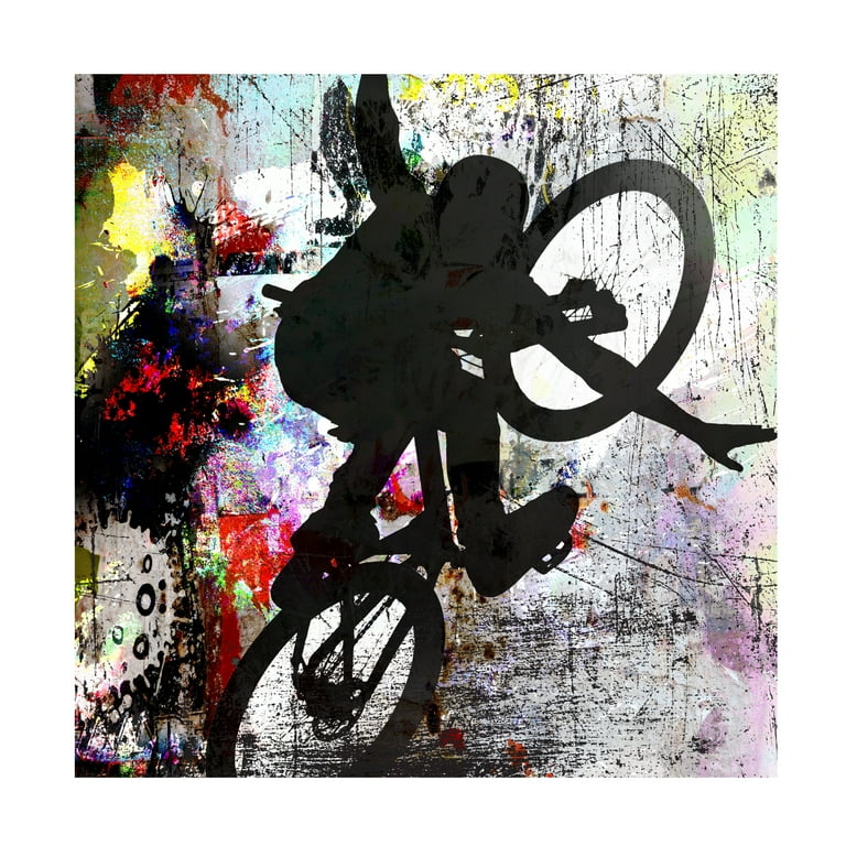 LightBoxJournal Extreme BMX Canvas Art Sports Wall Decor