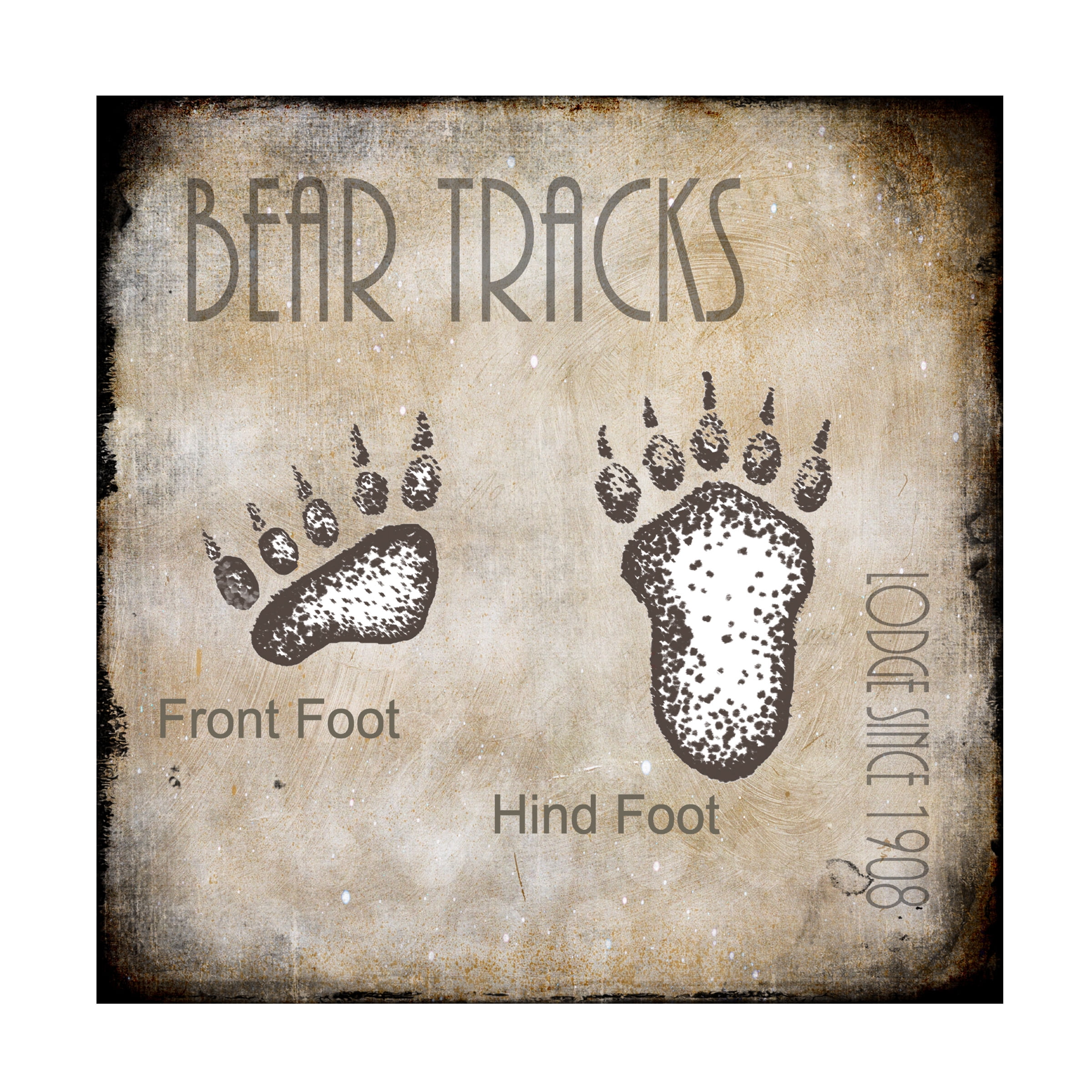 LightBoxJournal 'Moose Lodge 2 - Bear Tracks 2' Canvas Art