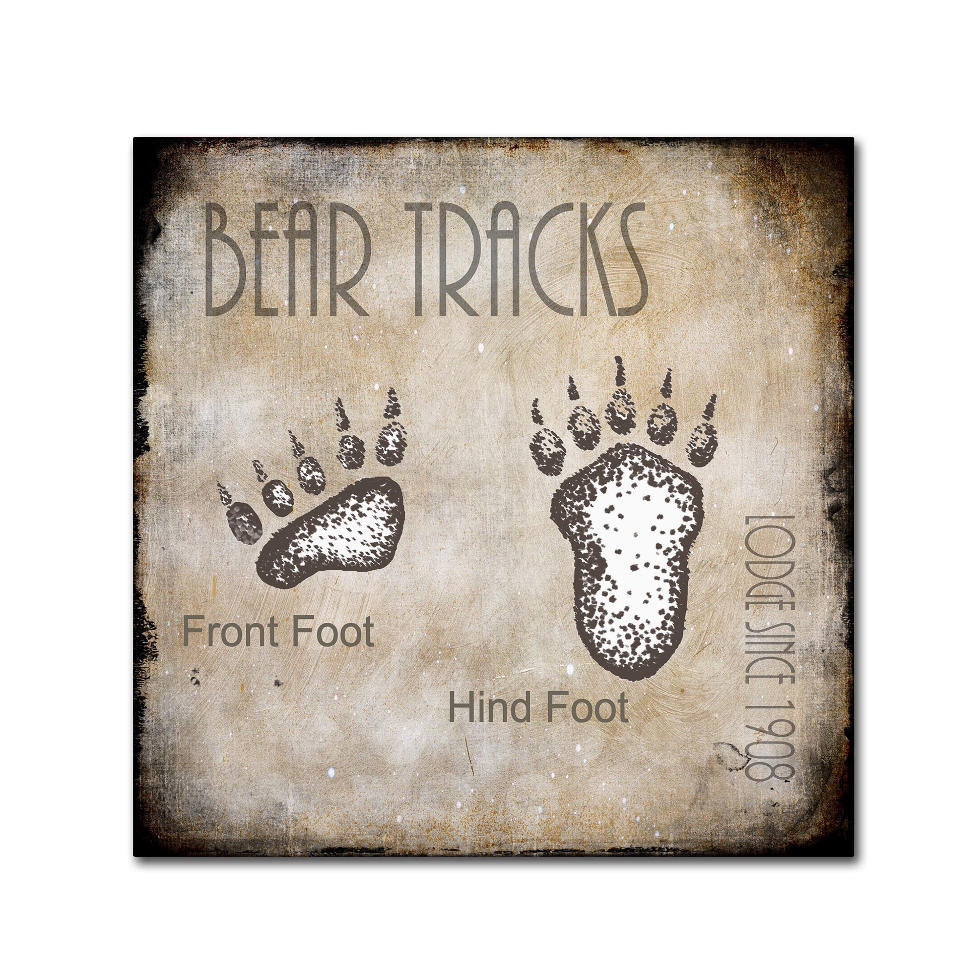 LightBoxJournal 'Moose Lodge 2 - Bear Tracks 2' Canvas Art