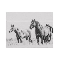 LightBoxJournal 'Wild Horses of the Great Basin 04' Wood Slat Art 12x16