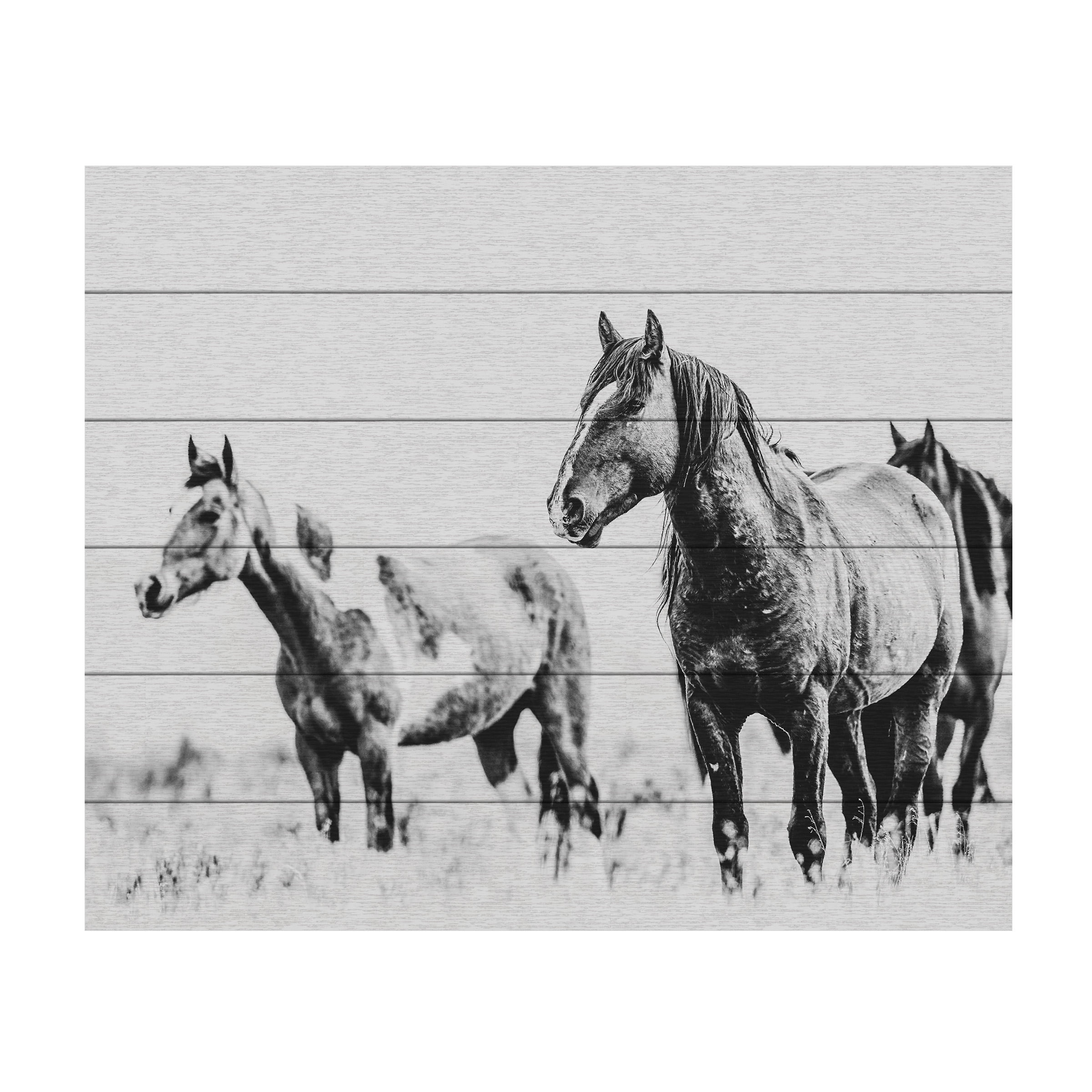 LightBoxJournal 'Wild Horses of the Great Basin 04' Wood Slat Art 18x22