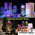 thumbnail image 1 of Lighted Artificial Flowers for Valentines Day Decorations, Hot Pink Forever Rose in A Glass Dome, Birthday Gifts for Women Mom, Valentines Gifts for Her by PALIFEUR, 1 of 9