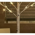 Lighted Birch Tree Plug in 4FT 72 LED White Twig Tree with Lights for ...