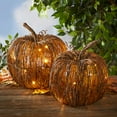 thumbnail image 1 of Lighted Grapevine Collection - Large, 1 of 6