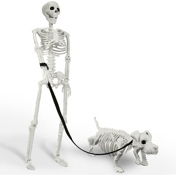 Lighted Human & Dog Skeleton Halloween Decorations Outdoor/Indoor - 36 Inch Realistic Full Body Movable Posable Skeleton Spooky Halloween Decor for Garden Yard Porch Indoor Party Haunted Graveyard