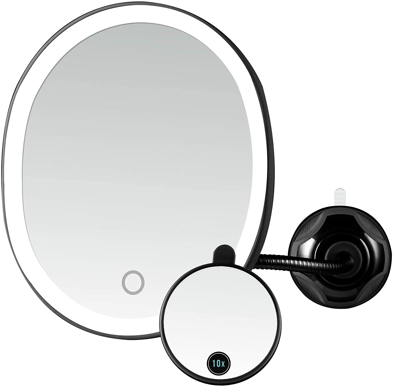 Lighted Wall Mount with Mini 10X Magnifying Mirror