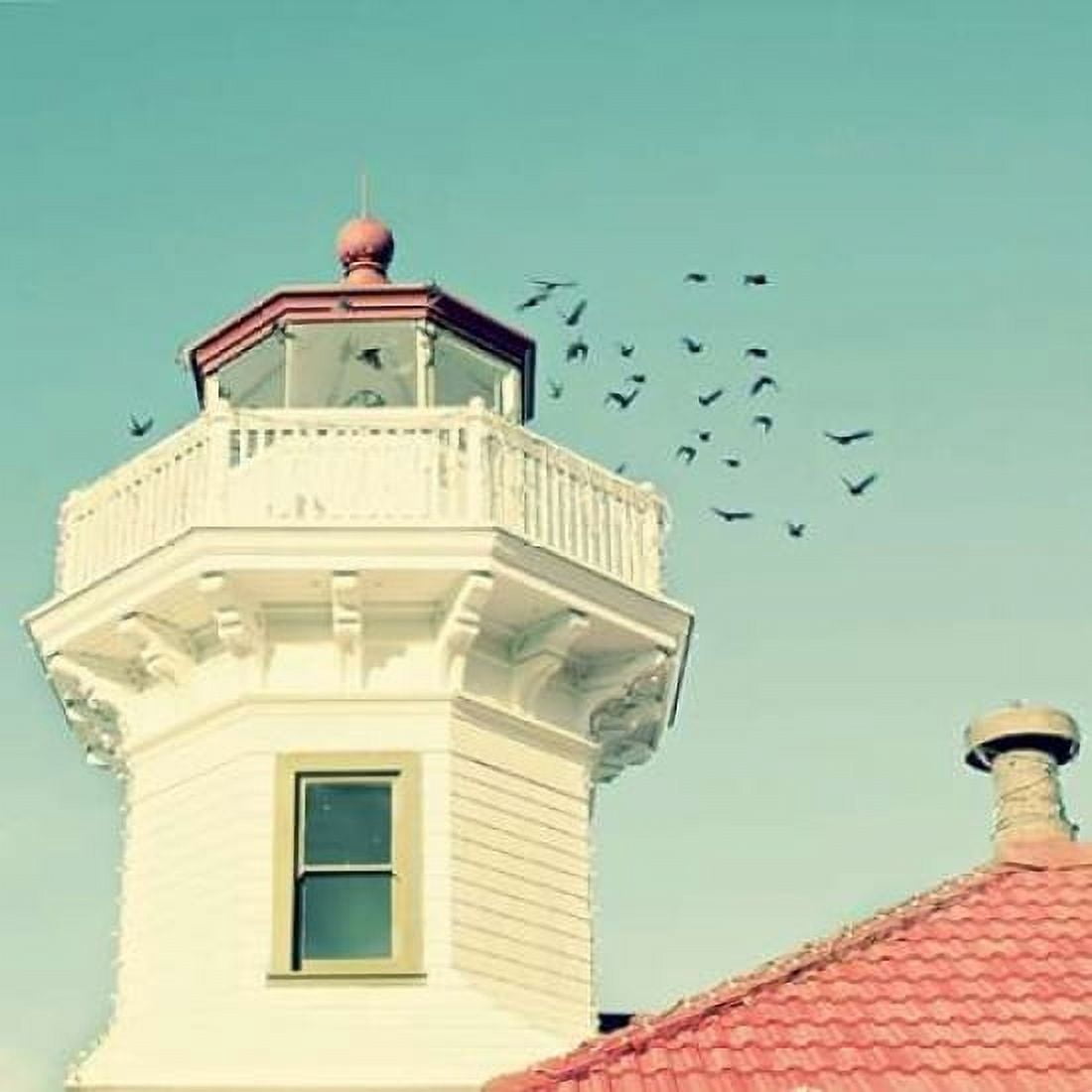 Lighthouse Birds Canvas Art - Vicki Dvorak (24 x 24)