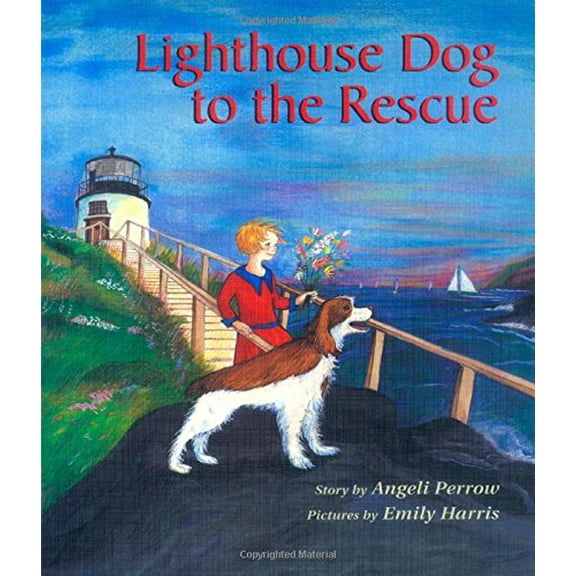 Pre-Owned Lighthouse Dog to the Rescue (Paperback) 0892726008 9780892726004