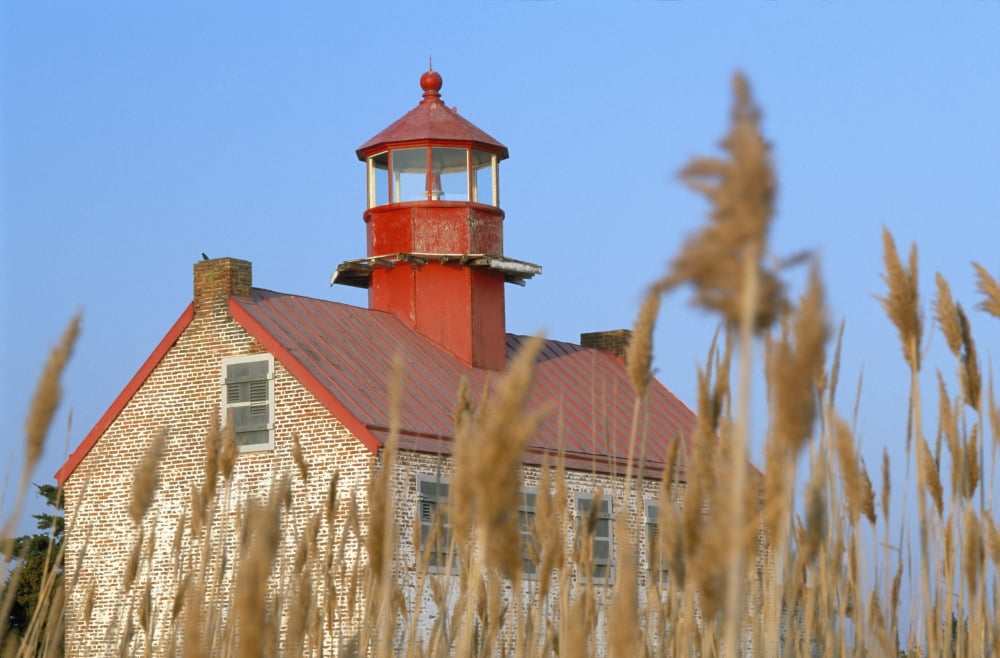 Lighthouse In Wheat Field Canvas Art - Conor Caffrey Design Pics (38 x 24)