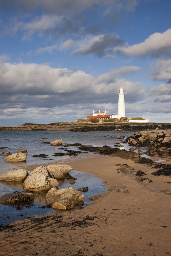 Lighthouse Northhumberland England Canvas Art - John Short Design Pics (12 x 19)