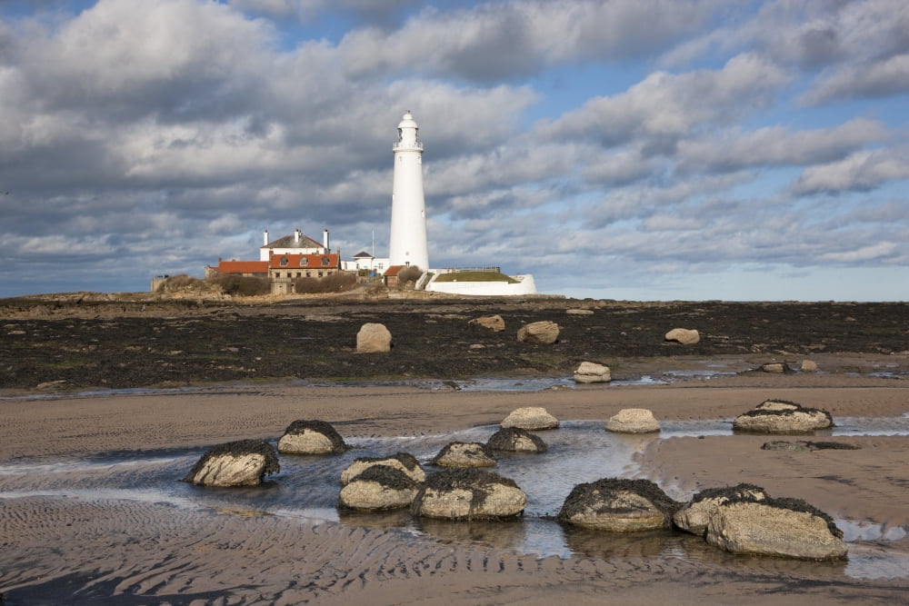 Lighthouse Northumberland England Canvas Art - John Short Design Pics (38 x 24)