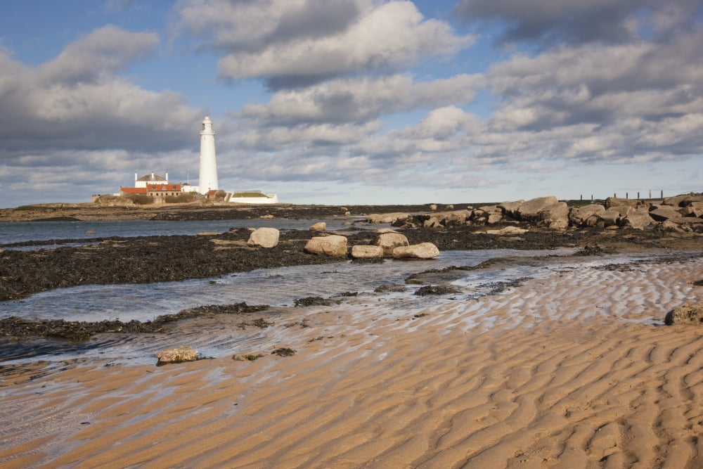 Lighthouse Northumberland England Canvas Art - John Short Design Pics (38 x 24)