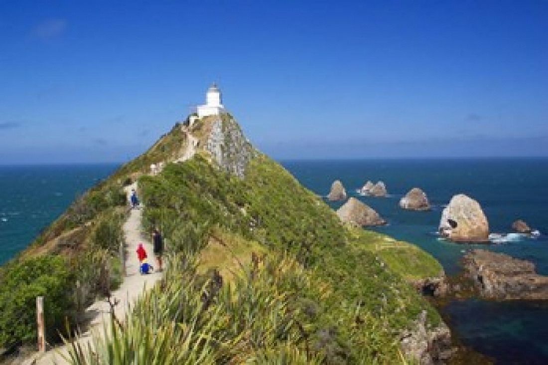 Lighthouse Nugget Point South Island New Zealand Canvas Art - David Wall DanitaDelimont (26 x 17)