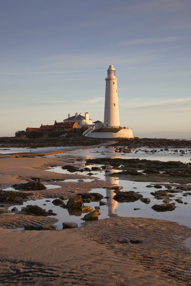 Lighthouse On St Marys Island Northumberland England Canvas Art - John Short Design Pics (12 x 19)