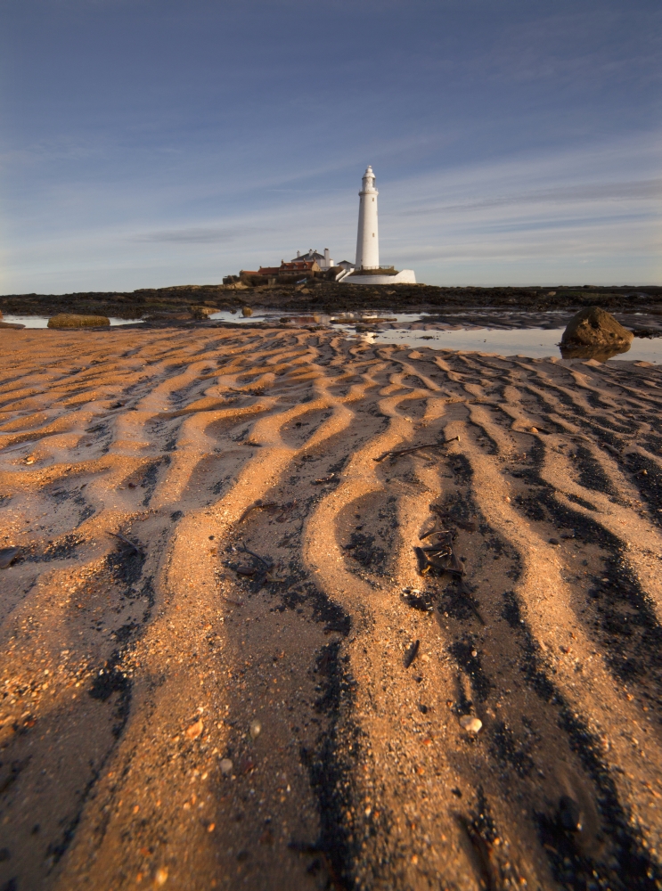 Lighthouse On St Marys Island Northumberland England Canvas Art - John Short Design Pics (13 x 18)