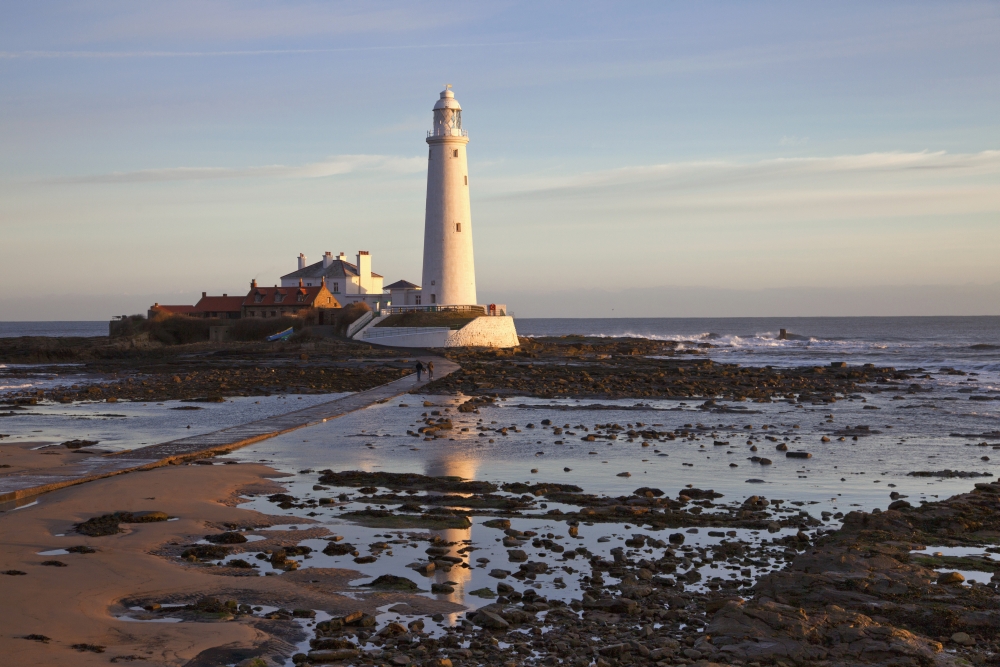Lighthouse On St Marys Island Northumberland England Canvas Art - John Short Design Pics (19 x 12)