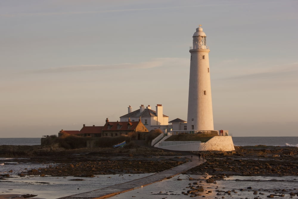 Lighthouse On St Marys Island Northumberland England Canvas Art - John Short Design Pics (19 x 12)