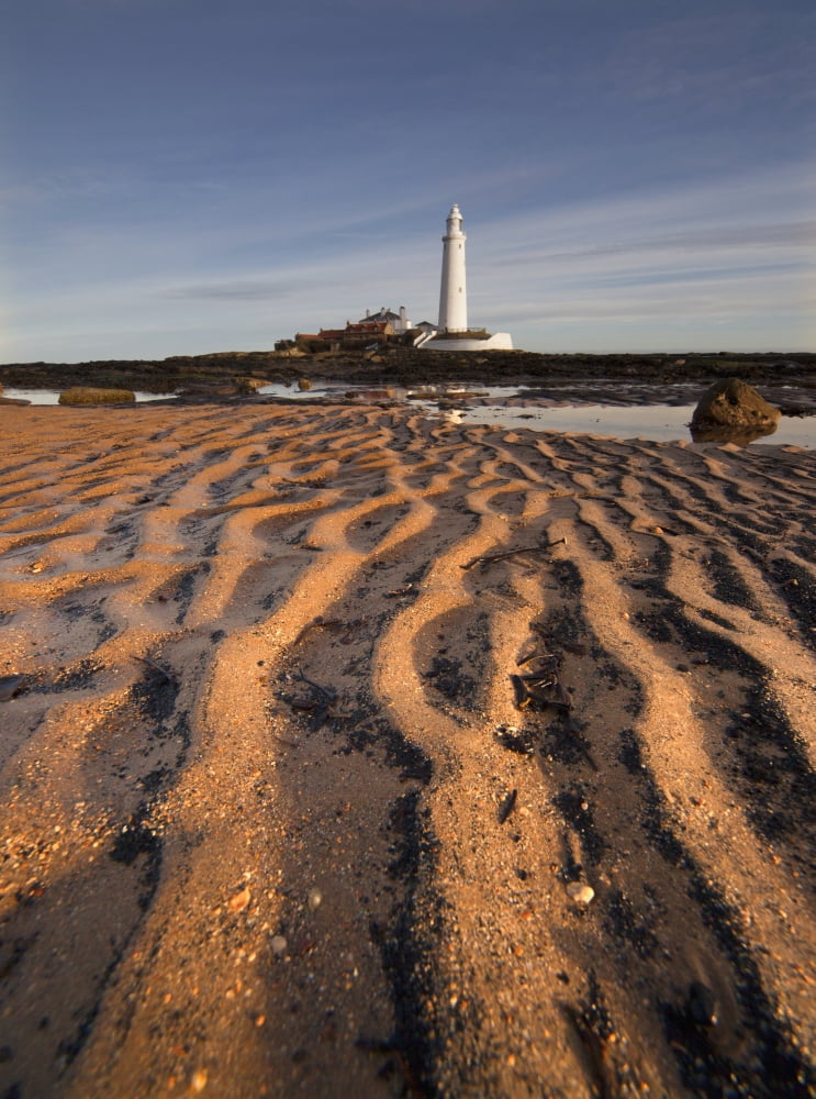 Lighthouse On St Marys Island Northumberland England Canvas Art - John Short Design Pics (26 x 36)