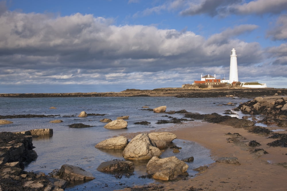 Lighthouse Scenic Northumberland England Canvas Art - John Short Design Pics (19 x 12)