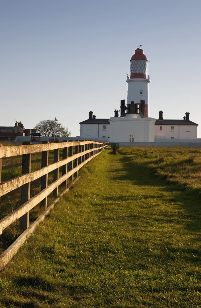 Lighthouse South Shields Tyne And Wear England Canvas Art - John Short Design Pics (24 x 38)