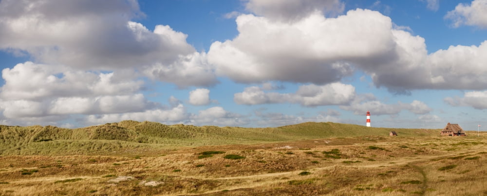 Lighthouse at East Ellenbogen Sylt Nordfriesland Schleswig-Holstein Germany Canvas Art - Panoramic Images (36 x 12)