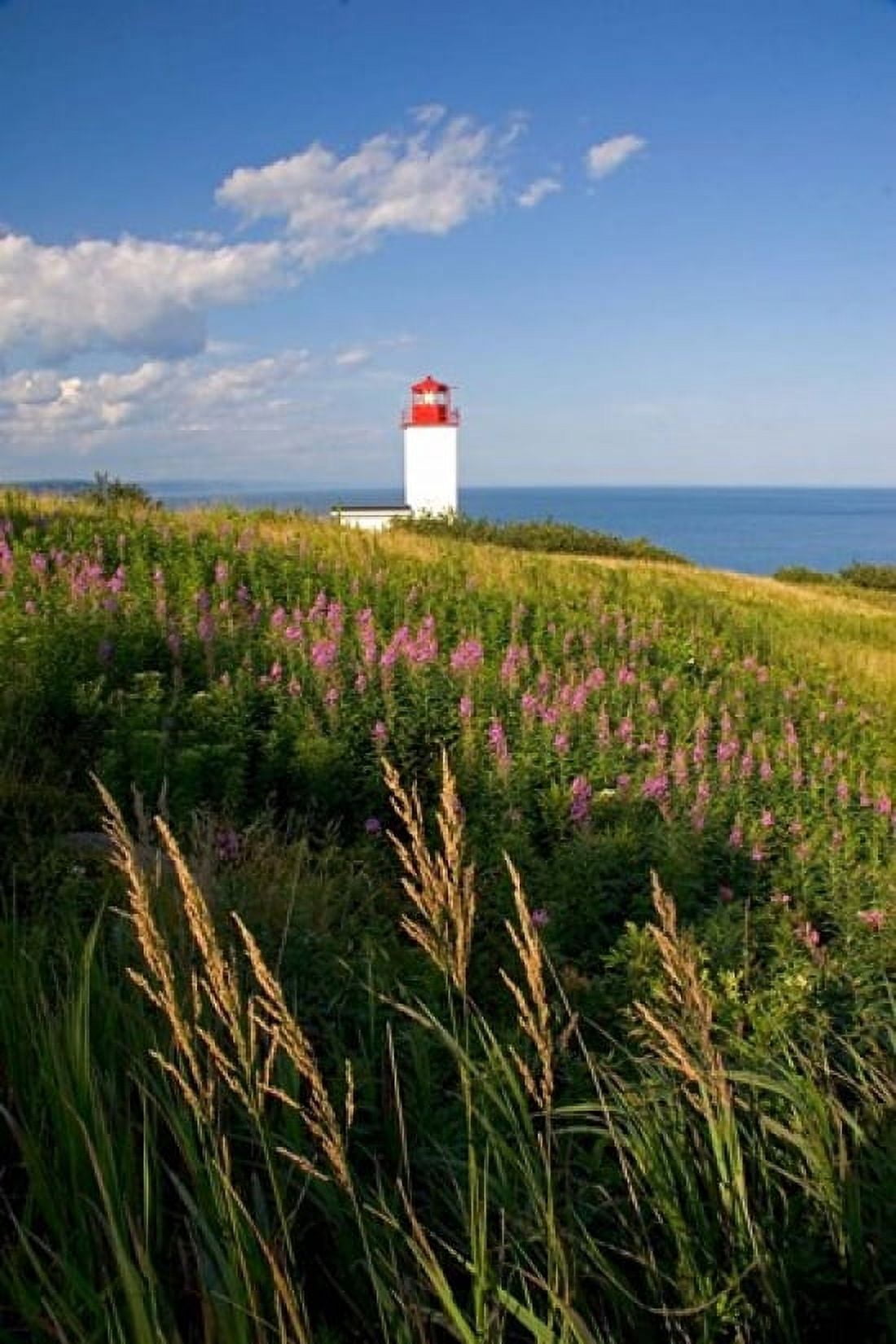 Lighthouse at St Martins Canvas Art - David R Frazier DanitaDelimont (18 x 26)