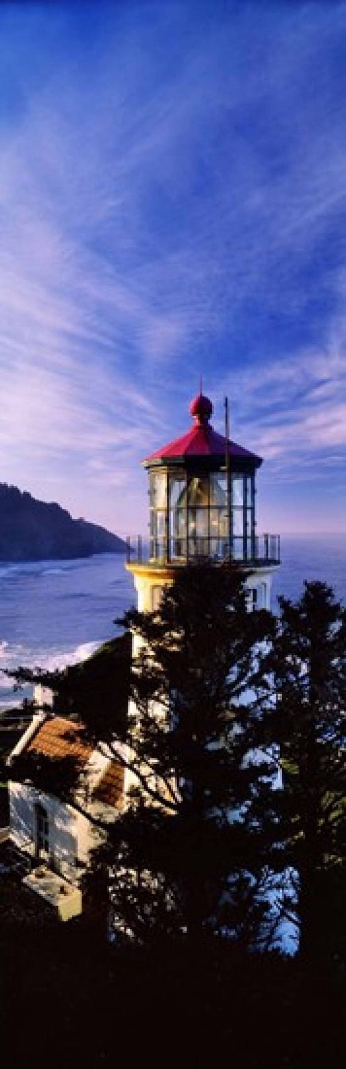 Lighthouse at a coast Heceta Head Lighthouse Heceta Head Lane County Oregon USA Canvas Art - Panoramic Images (36 x 12)