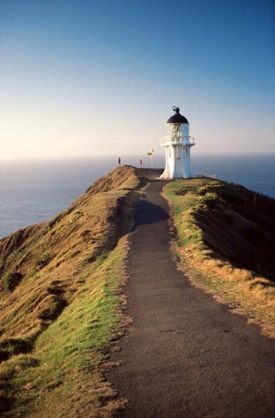 Lighthouse of Cape Reigna Northland New Zealand Canvas Art - David Wall DanitaDelimont (11 x 17)