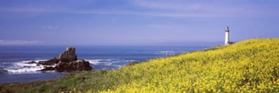 Lighthouse on the coast Pigeon Point Lighthouse San Mateo County California USA Canvas Art - Panoramic Images (36 x 12)