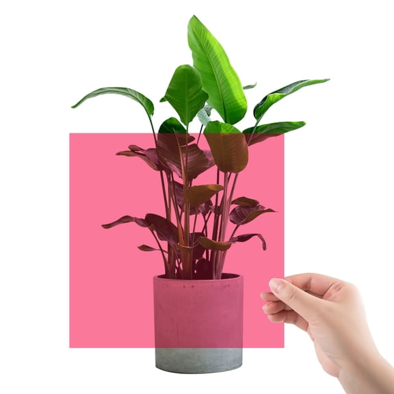 Lighting 20pcs Color Correction Gel Light Filter Sheet Color Correction Filters Kit Colored Transparency Color Film, Size 9.8x6.6cm/3.8x2.6in
