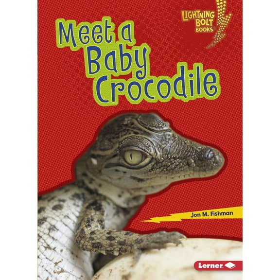 Lightning Bolt Books (R) -- Baby Australian Animals: Meet a Baby Crocodile (Paperback)