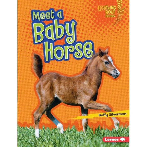 Lightning Bolt Books (R) -- Baby Farm Animals: Meet a Baby Horse (Hardcover)