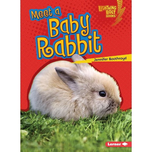 Lightning Bolt Books (R) -- Baby Farm Animals: Meet a Baby Rabbit (Paperback)